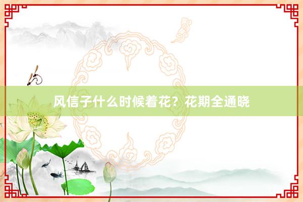 风信子什么时候着花？花期全通晓