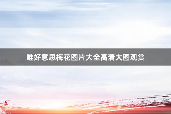 唯好意思梅花图片大全高清大图观赏